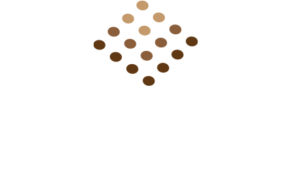 Racial Equity Asset Lab